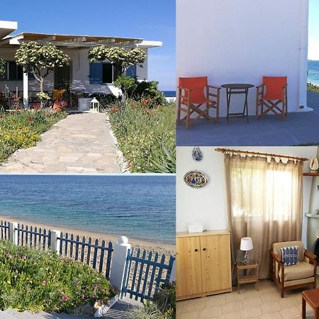 Anemos Seaside House Villa Skíros Eksteriør billede